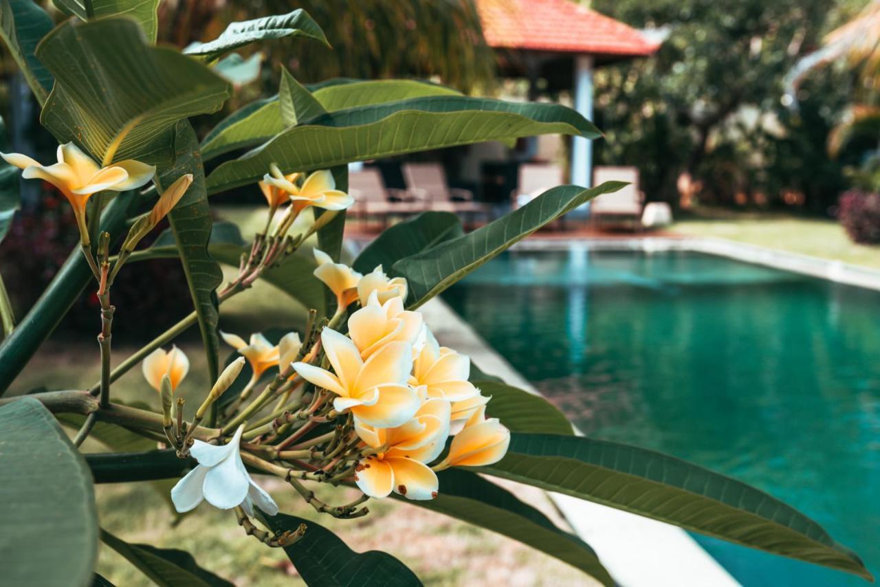 Bali Mynah Villas Resort Jimbaran  Exterior photo